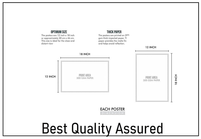 Shiridi Sai Baba poster | Goldfoil (Height 23 inches, width 15 Inches)