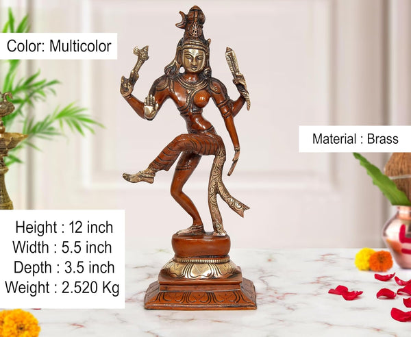 Brass Ardhanrishvara Shiva and Parvati Murti (Height 12 Inch) Entryway Setting