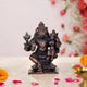 Copper Bhu Varaha Lakshmi Idol (Height 3 Inch)