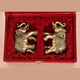 AONA Superfine brass pair of elephant with beautiful detailing gift box wedding gift gifting ideas