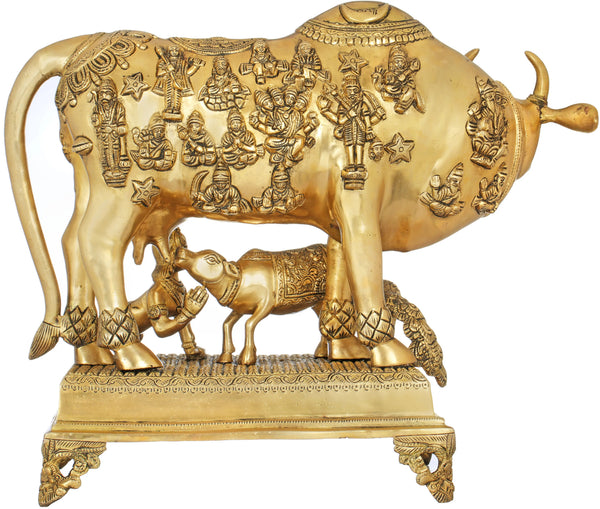 Handmade Brass Sculpture of the Cow, Abode of the Devagana 20 Inches Study Setting