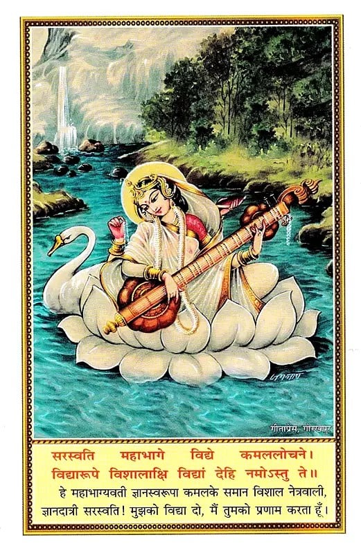 गीता दैनन्दिनी: Daily Diary of Gita (2025)