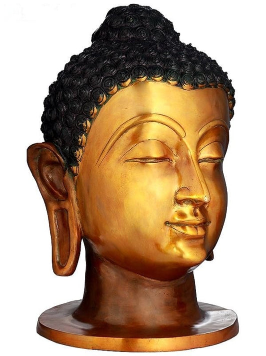 Brass Large Size Buddha Head Idol (Height: 21 Inches)