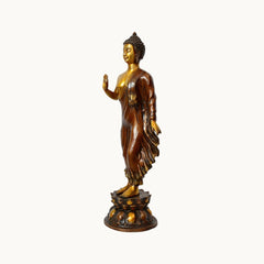 Side view standing Buddha idol statue with raised blessing hand, brass-gold head and robes