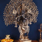 Brass Lord Krishna with Kalpavriksha Statue (Height : 37.2 Inches)