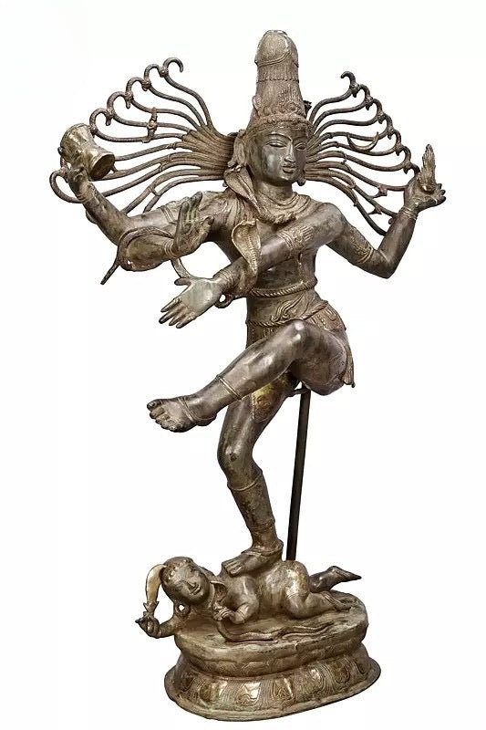 Brass Colossal Size Dancing Shiva Nataraja Sculpture (Height: 57 Inches) Study Setting