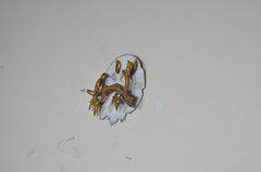 Small gold-tone bird wall decor on branch, round white backplate from side angle