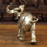 Brass elephant sculpture, 10 in, standing rear angle with raised leg and curled tail