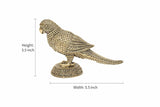 Dimensions for brass parrot statue: height 3.5 in, width 5.5 in