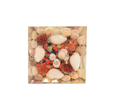 Clear orgonite pyramid filled with white shell pieces, red stones, and gold flecks