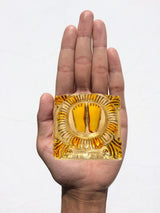 Lakshmi charan paduka brass finish held in hand, lotus-framed footprints