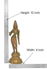 Parvati brass statue size: 12 in height, 4 in width; ruler measurement shown