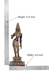 Brass Parvati statue with size measurements: Height 11.5 in, Width 4.5 in
