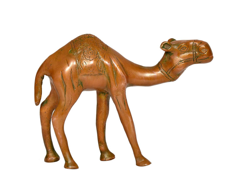 Brass Camel Figurine - Handcrafted for Home and Office Decor (Height : 6 inch)