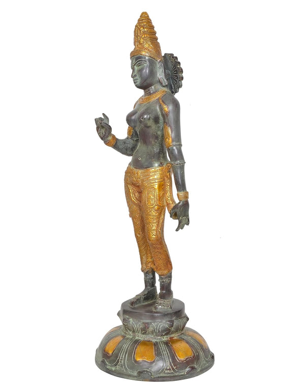 Brass Devi Uma Parvati Statue Hindu Goddess (Height 21.5 Inch) Study Setting