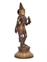Brass Parvati goddess idol, three-quarter view holding object, engraved detailing