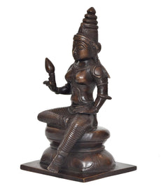 Bronze Parvati statue seated pose on pedestal base, side view of arm details