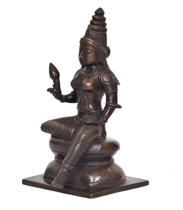 Brass Goddess Parvati Seated on Pedestal Statue Hindu Goddess Parvati Idol for Home Temple, Spiritual Decor, and Religious Gifts (Height: 9 Inch) Study Setting