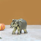 Brass Elephant Figurine - Decorative Statue for Home Decor, Feng Shui, and Good Luck (Height 2 Inch)