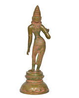 Brass Parvati deity statue front view, ornate torso jewelry and patterned leggings