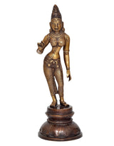AONA brass Parvati statue, front view, ornate jewelry and standing pose on base