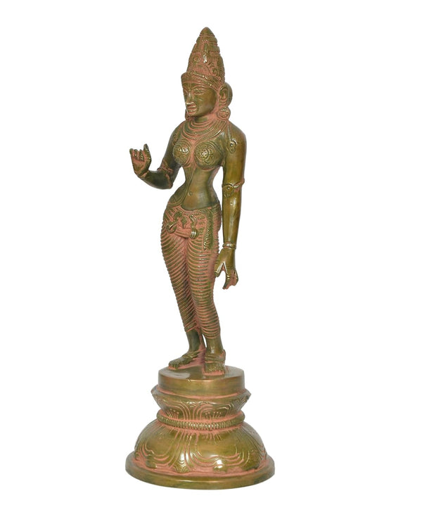 Brass Devi Uma Parvati Statue Hindu Goddess Parvati Idol for Home Temple Spiritual Decor and Religious Gifts (Height: 12 Inch) Study Setting