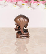 Back view Lakshmi Narasimha statue with large umbrella-like hood, bronze copper, 2 inch
