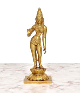 Brass Devi Uma Parvati statue, front view standing on lotus-style base