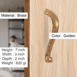 Brass door pull handles pair in golden, curved ornate design on wood panel.
