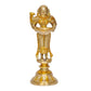 Brass Deeplakshmi with Parrot Idol Statue for Home Temple Office Figurine Showpiece (Height 8 Inch)