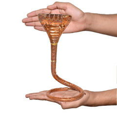 Copper naag Shivling pooja idol held in hands, coiled copper base