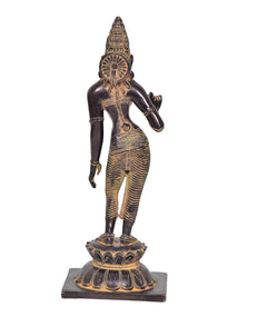 Brass Parvati statue rear three-quarter view, patterned waist and arm jewelry, base