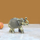 Brass Elephant Figurine - Decorative Statue for Home Decor, Feng Shui, and Good Luck (Height 2 Inch)