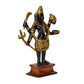 Brass Goddess Kali MATA Idol Statue Figurine for Home Office Temple Puja Height 6 Inch