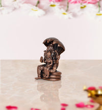 Lakshmi Narasimha statue from side, standing deity figure on round base, bronze copper