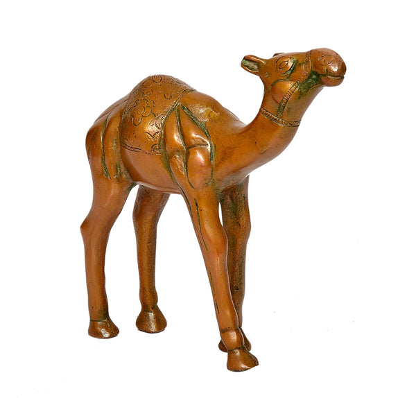 Brass Camel Figurine - Handcrafted for Home and Office Decor (Height : 7 inch) Study Setting