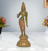 Bronze brass Parvati goddess statue standing with right hand raised, ornate base