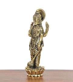 Brass Lord Vishnu idol in side view, detailed crown, jewelry, and lotus base