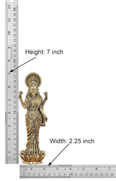 Lakshmi idol with sizing guide: height 7 in and width 2.25 in, on lotus base