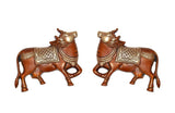 Brass Kamdhenu cow pair wall hanging, front view of two embossed cows