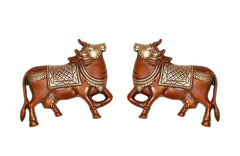 Brass Kamdhenu cow pair wall hanging, front view of two embossed cows