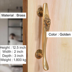 Gold brass door pull handle set with lion face motif on circular rosettes
