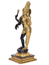 Side view of Ardhanrishvara Shiva-Parvati brass statue, black and gold, detailed drapery and base