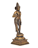 Brass Uma Parvati statue angled view, clasped hand gesture and ornate crown
