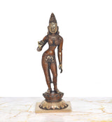 Brass standing Uma Parvati figurine, detailed crown and jewelry, full-body view
