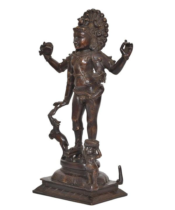 Brass Bhikshatana Kaal Bhairava Shiva Sculpture Idol for Home Decor Office (Height :15 inch) Study Setting