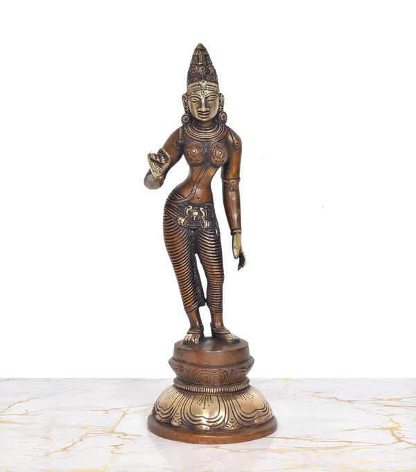 Brass Devi Uma Parvati Statue (Height: 13 inch) Study Setting