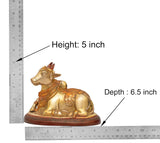 Brass Nandi bull statue with height 5 inch measurement and depth 6.5 inch shown
