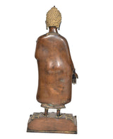 Brass standing Buddha statue back view, golden crown, on rectangular pedestal base