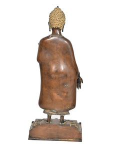 Brass standing Buddha statue back view, golden crown, on rectangular pedestal base